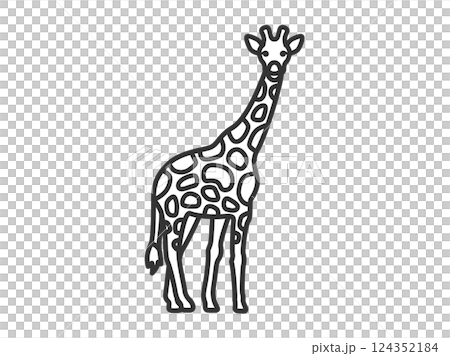 Giraffe (line drawing) illustration 124352184