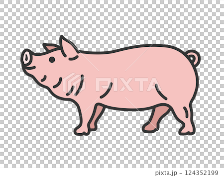 豬的插圖（線條描彩色） 124352199