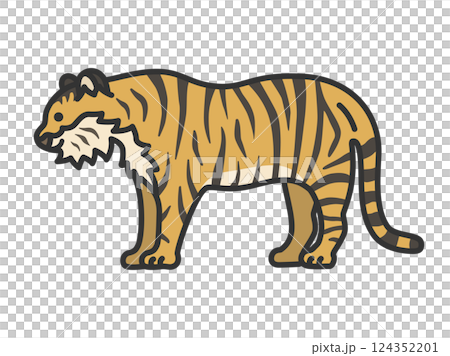 老虎插圖（線條描彩色） 124352201