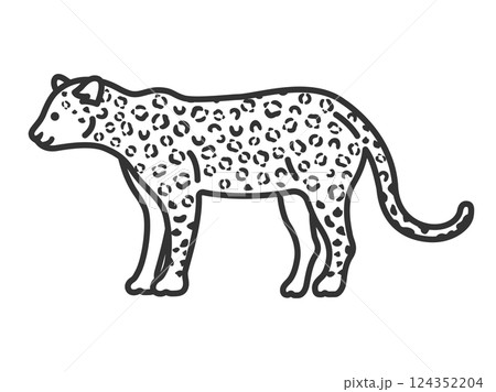 動物の豹(線画)のイラスト 動物の豹(線画)のイラスト 124352204