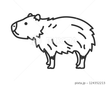 カピバラ（線画）のイラスト 124352213