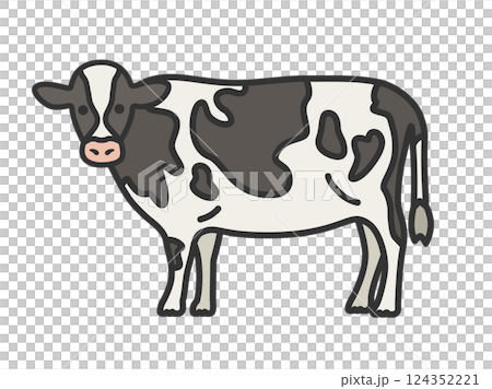 Illustration of a Holstein cow (line drawing color) 124352221