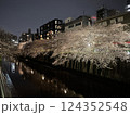 夜桜と川に映る橋 124352548