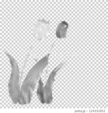 チューリップのモノクロイラスト 124352852