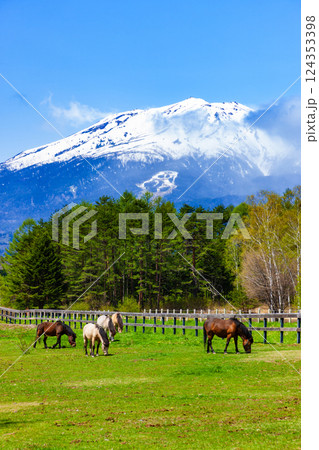 木曽馬の里 124353398