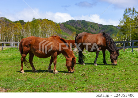 木曽馬の里 124353400