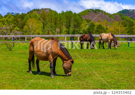 木曽馬の里 木曽馬の里 124353402