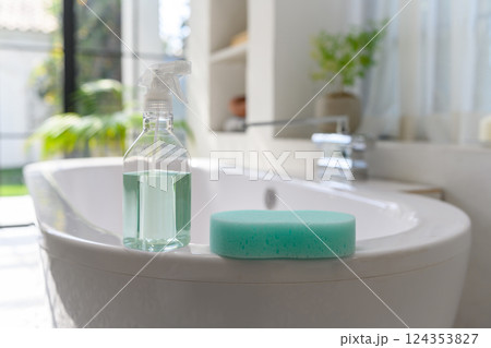 バスルームの清掃 バスルームの清掃 124353827