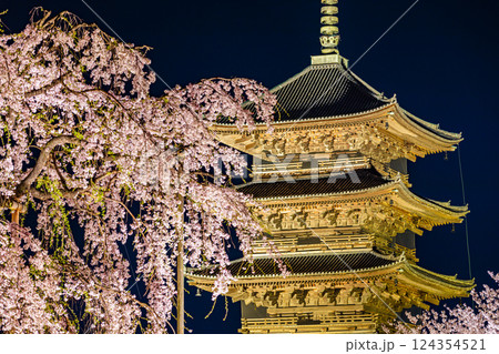 京都府　春の東寺・桜風景　 124354521