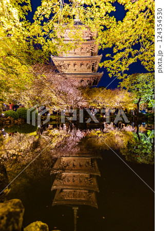 京都府　春の東寺・桜風景　 124354530