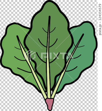シンプルでかわいいほうれん草　夏野菜のイラスト素材 124354579