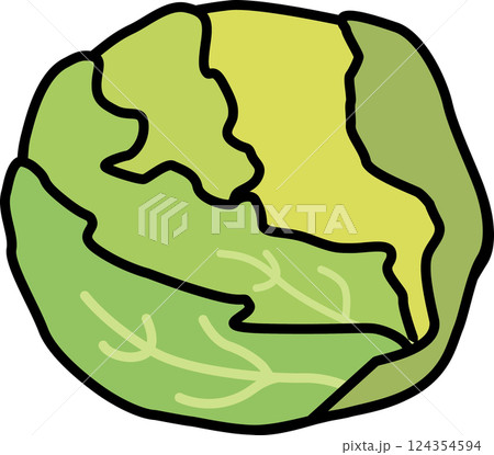 シンプルでかわいいキャベツ 春野菜のイラスト素材 シンプルでかわいいキャベツ 春野菜のイラスト素材 124354594