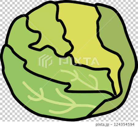 シンプルでかわいいキャベツ 春野菜のイラスト素材 シンプルでかわいいキャベツ 春野菜のイラスト素材 124354594