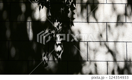 影の落ちたブロック塀 124354933