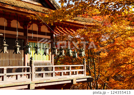 奈良　談山神社拝殿の釣り灯籠と紅葉 124355413