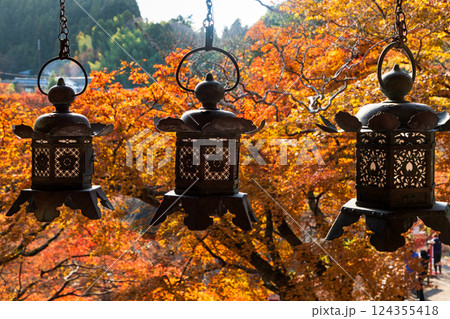 奈良　談山神社拝殿の釣り灯籠と紅葉 124355418