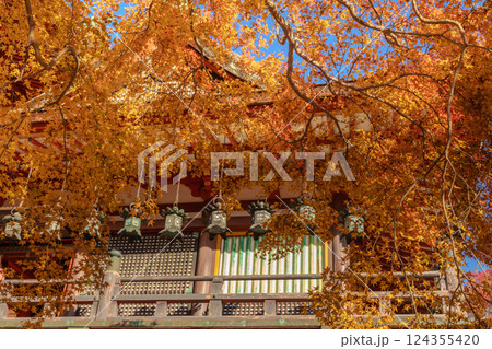 奈良 談山神社拝殿の釣り灯籠と紅葉 奈良 談山神社拝殿の釣り灯籠と紅葉 124355420