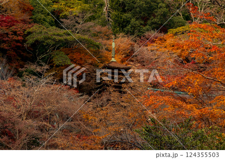 奈良 談山神社境内より望む紅葉の十三重塔 奈良 談山神社境内より望む紅葉の十三重塔 124355503