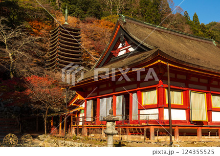 奈良 談山神社境内より望む紅葉の十三重塔 奈良 談山神社境内より望む紅葉の十三重塔 124355525