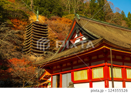 奈良　談山神社境内より望む紅葉の十三重塔 124355526