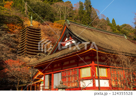 奈良　談山神社境内より望む紅葉の十三重塔 124355528