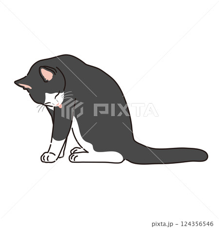 毛繕いする白黒猫のイラスト） 124356546