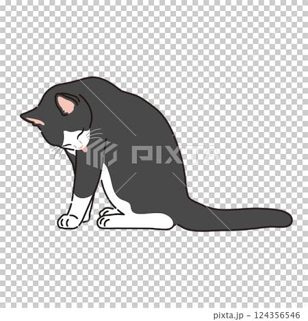 一隻黑白相間的貓在梳理自己的插圖 124356546