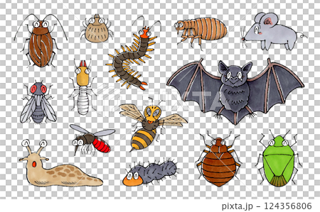 笑顔の害虫セット 笑顔の害虫セット 124356806