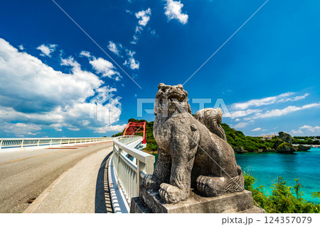 沖縄シーサー 沖縄シーサー 124357079