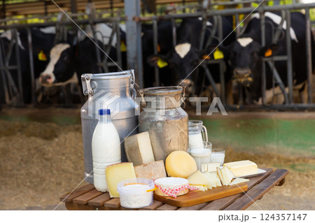 Dairy farm - table with dairy products in background of cows in stall Dairy farm - table with dairy products in background of cows in stall 124357147