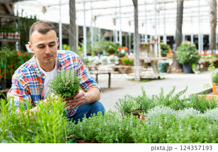 In flower shop, man customer chooses thymus plant to decorate room, balcony, terrace 124357193
