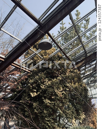 Inside the complex of the botanical garden. 124357387