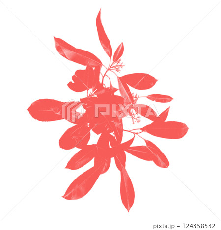decorative frame elegant element for design 124358532