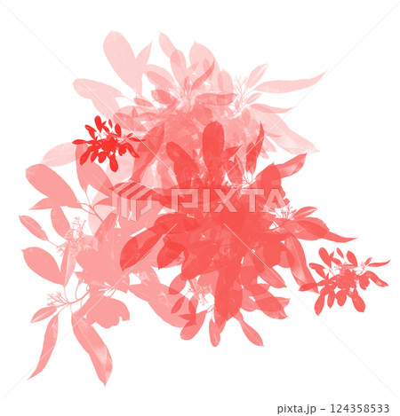 decorative frame elegant element for design decorative frame elegant element for design 124358533