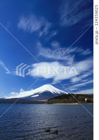 吊し雲浮かぶ富士山 吊し雲浮かぶ富士山 124359025