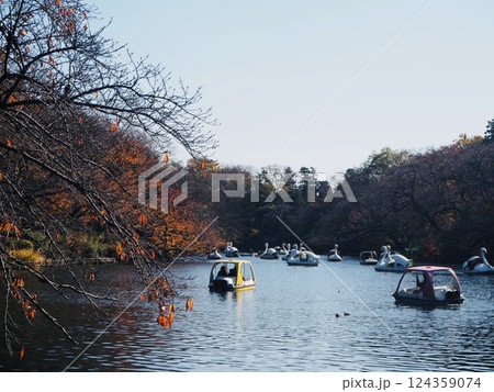 公園のスワンボートと紅葉 124359074