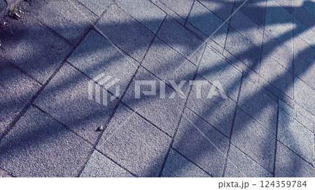 街路樹の影が落ちた散歩道 124359784