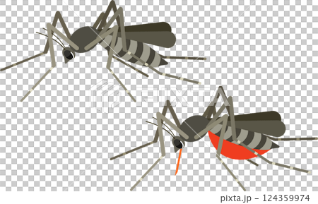 Illustration of a mosquito sucking blood 124359974