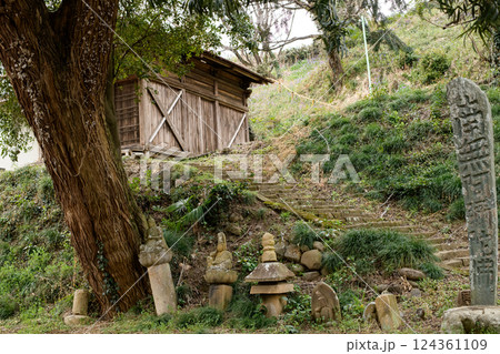 常行院のカヤ　群馬県 124361109
