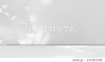 Background Floor Shadow Wall Kitchen Concrete White Texture Light Texture Abstract Mockup Product Marble Room Studio Display Plant Cement 3d Bg Minimal Shelft Bar Silhouette Leaves Backdrop Vintage. 124361308
