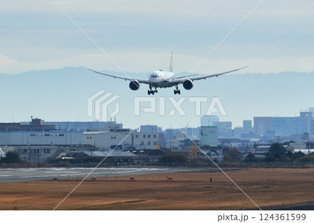 大阪国際空港　ANA　飛行機　着陸　スカイパーク 124361599
