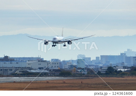 大阪国際空港　ANA　飛行機　着陸　スカイパーク 124361600