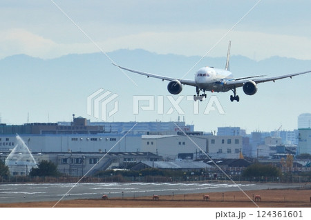 大阪国際空港　ANA　飛行機　着陸　スカイパーク 124361601