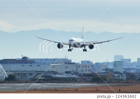 大阪国際空港　ANA　飛行機　着陸　スカイパーク 124361602