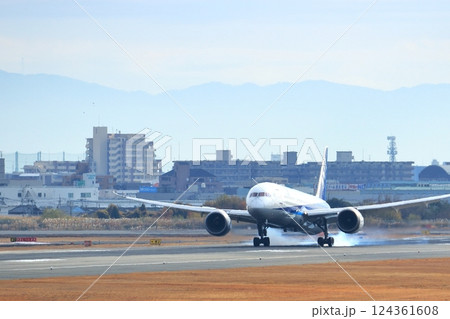 大阪国際空港　ANA　飛行機　着陸　スカイパーク 124361608