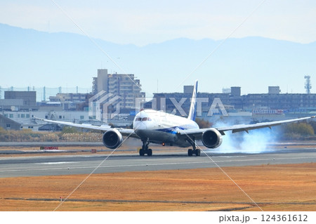 大阪国際空港　ANA　飛行機　着陸　スカイパーク 124361612