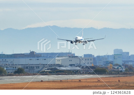 大阪国際空港　ANA　飛行機　着陸　スカイパーク 124361628
