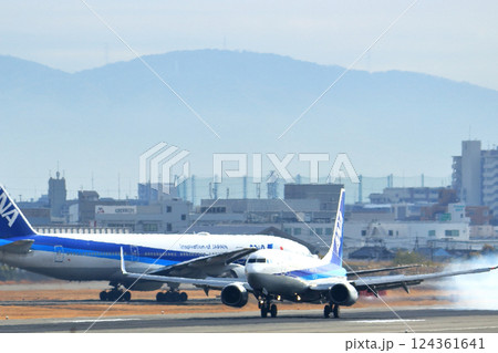 大阪国際空港　ANA　飛行機　着陸　スカイパーク 124361641