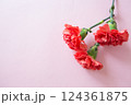 カーネーション　左空き 124361875