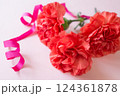 カーネーションのアップ 124361878
